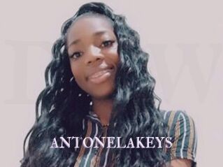 ANTONELAKEYS