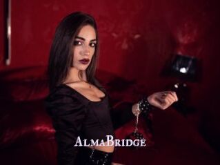 AlmaBridge