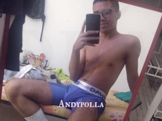 Andypolla