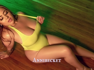 Annibecket