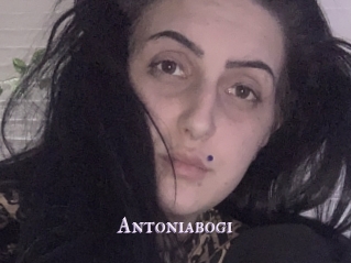Antoniabogi