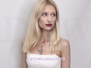 Antoniabracher
