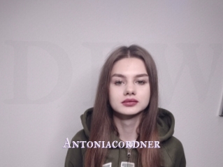 Antoniacordner