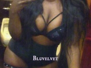 Bluvelvet