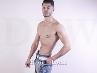 BradleyEagle X Drow