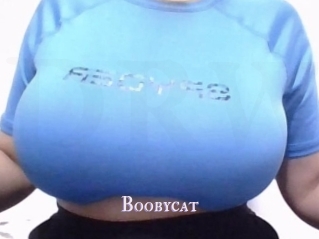 Boobycat