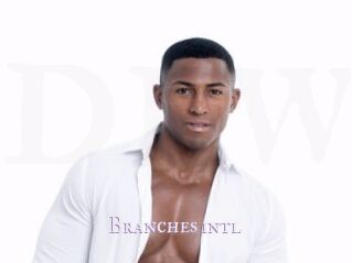 Branches_intl