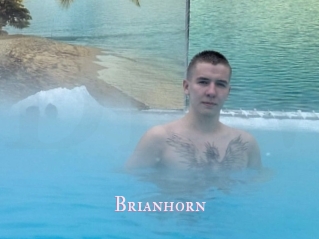 Brianhorn