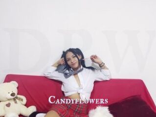 Candyflowers