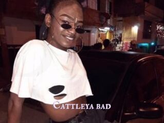 Cattleya_bad