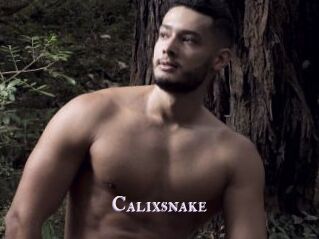 Calixsnake