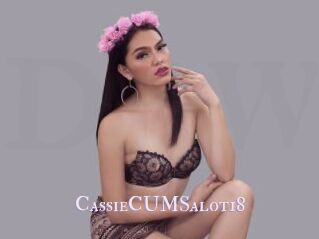 CassieCUMSalot18
