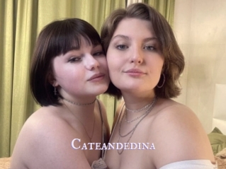 Cateandedina