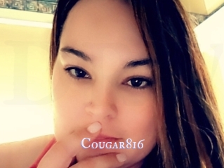 Cougar816