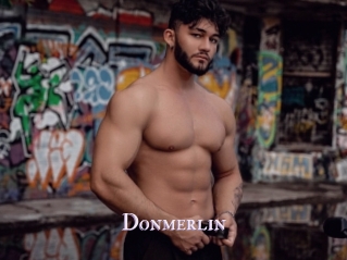 Donmerlin