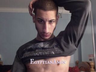 EgyptianAmin