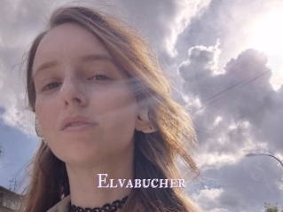 Elvabucher