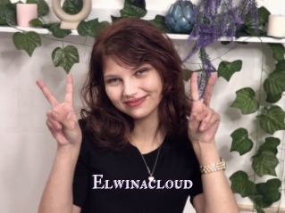 Elwinacloud