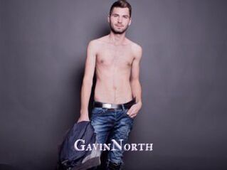 GavinNorth