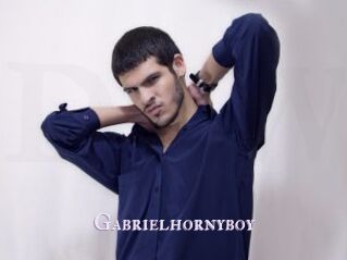 Gabrielhornyboy