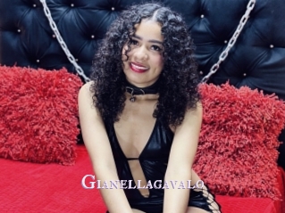 Gianellagavalo