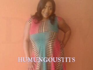 HUMUNGOUSTITS