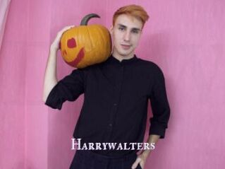 Harrywalters