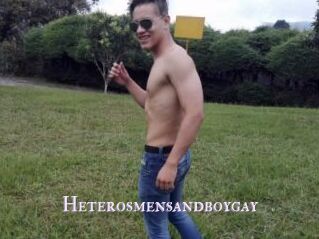 Heterosmensandboygay