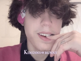 Kingsnowbunny