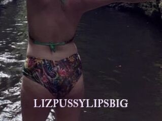LIZPUSSYLIPSBIG