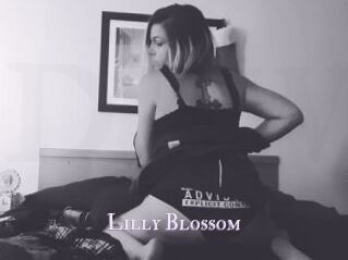 Lilly_Blossom