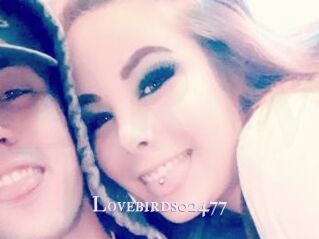 Lovebirds02477