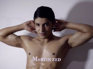 Martin_zed