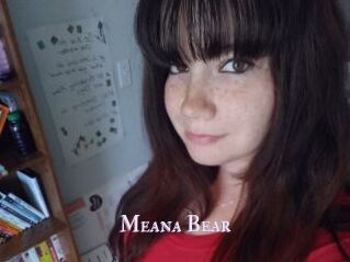 Meana_Bear