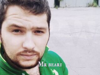 Mr_bear1