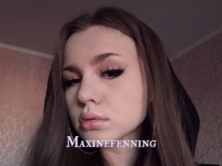 Maxinefenning