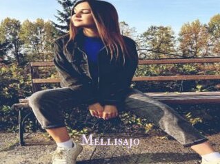 Mellisajo