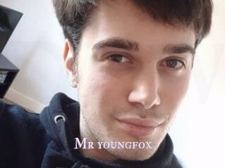 Mr_youngfox