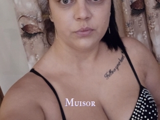 Muisor