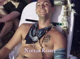 Nectar_Rabbit