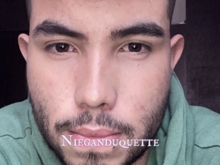 Nieganduquette