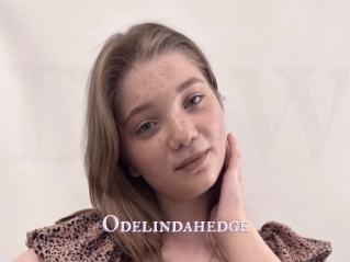 Odelindahedge
