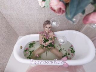 ProvenceRose