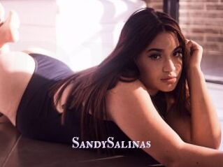 SandySalinas