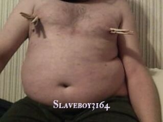 Slaveboy3164