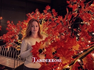 Tanderrose