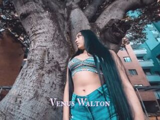 Venus_Walton