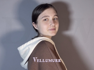 Vellumurr