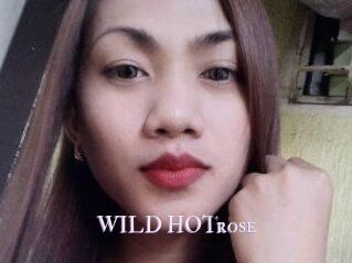 WILD_HOTrose