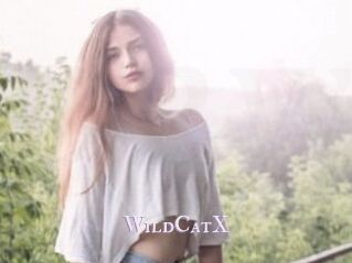 Wild_CatX